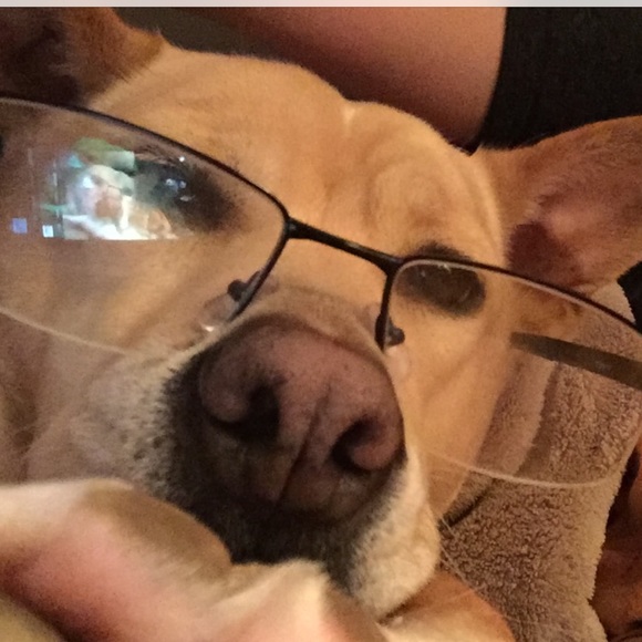 Meet Your Posher #2 Hi, I’m Kristen! Comments maxed on MTP #1, Thank You, PFF’s! - Picture 6 of 16